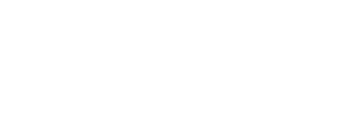 NOAH Logo White Transparent BKGRD